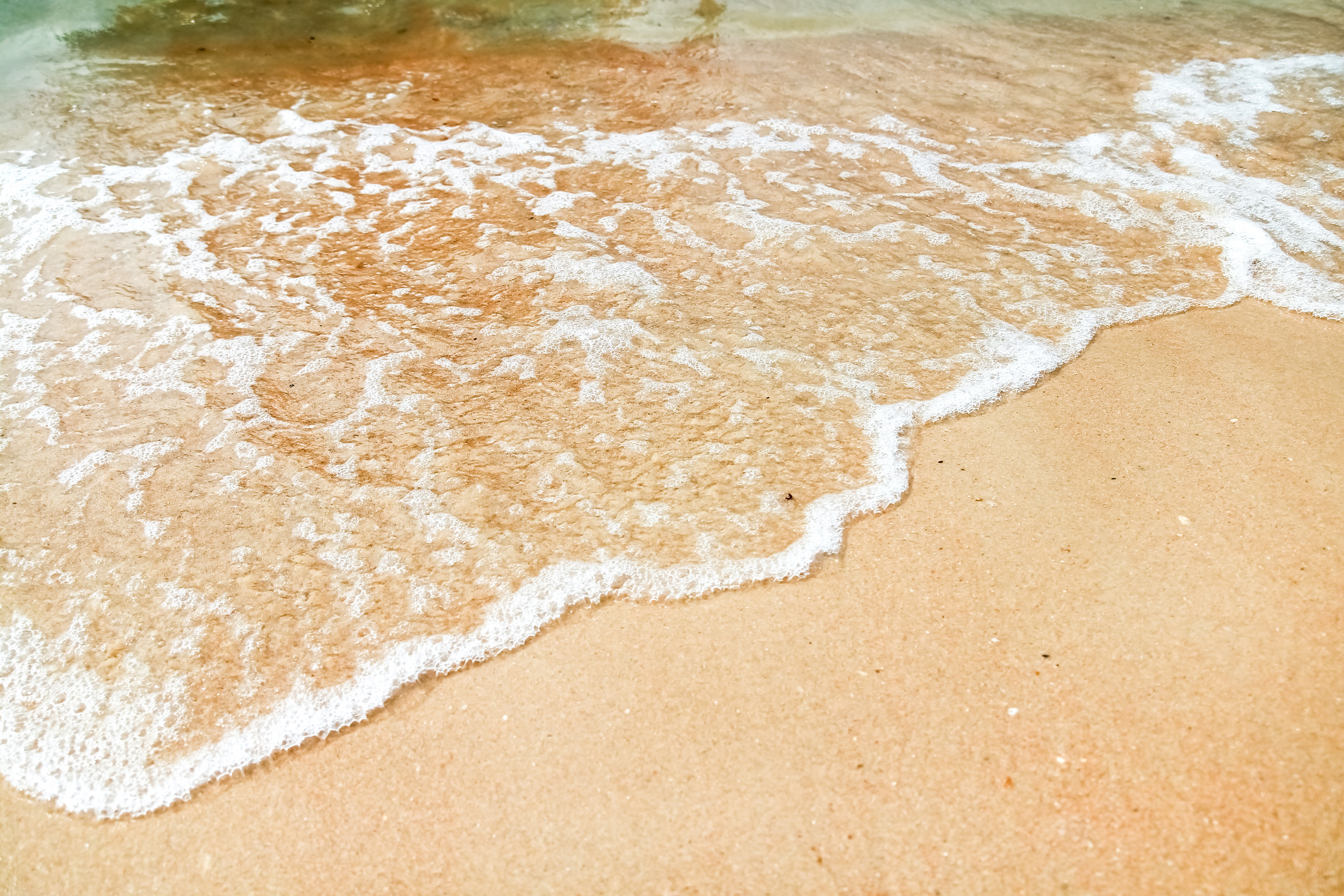 Soft Ocean Wave on Sandy Beach Background